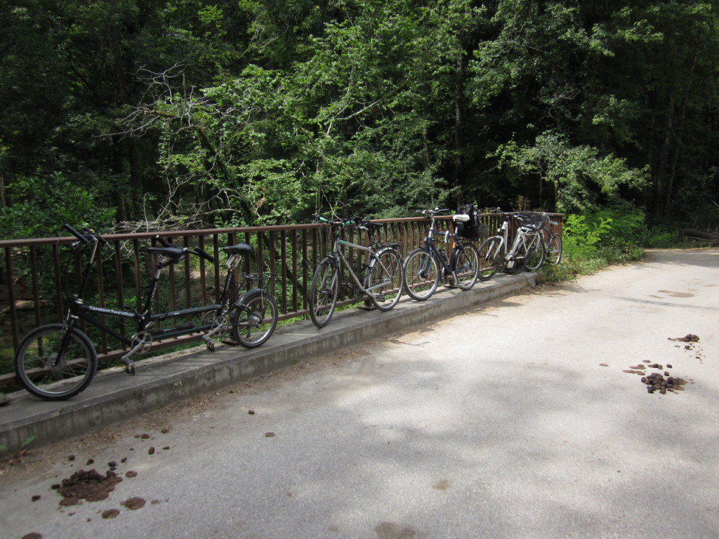 Le seul endroit où attacher les vélos...(nous avons envoyé quelques photos à la mairie de Collex-Bossy pour demander la mise en place d'arceaux pour les vélos).