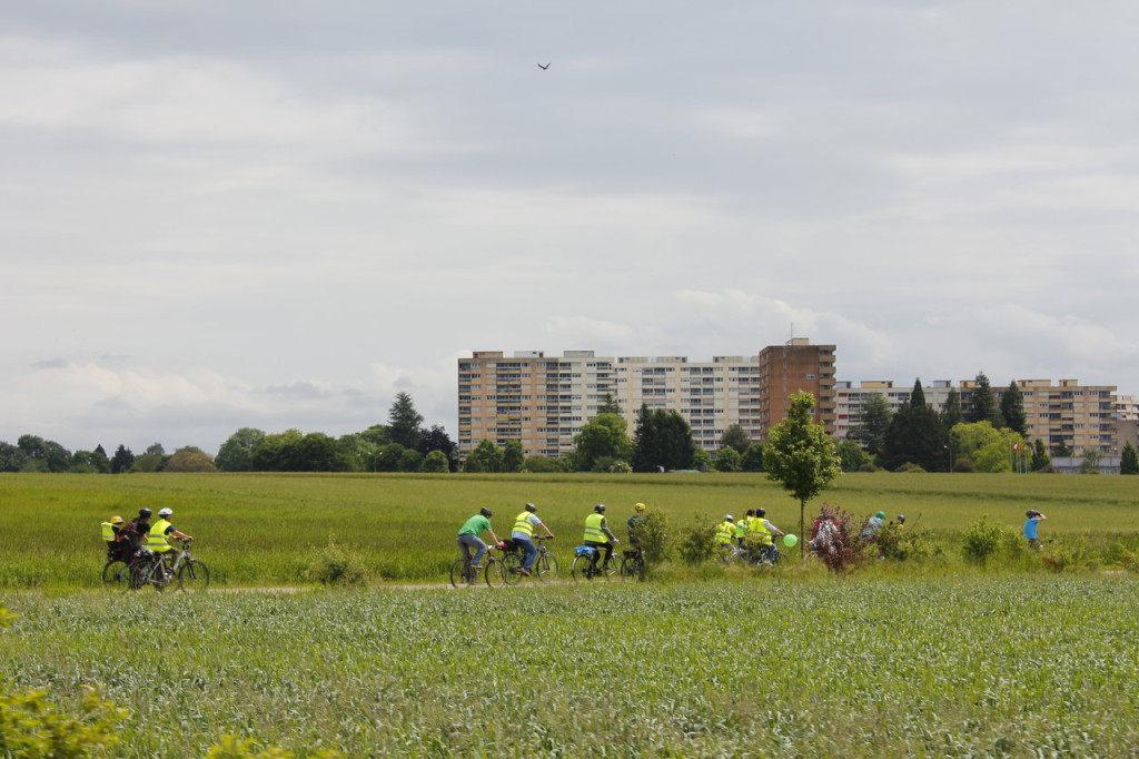 Dans la campagne Meyrinoise.