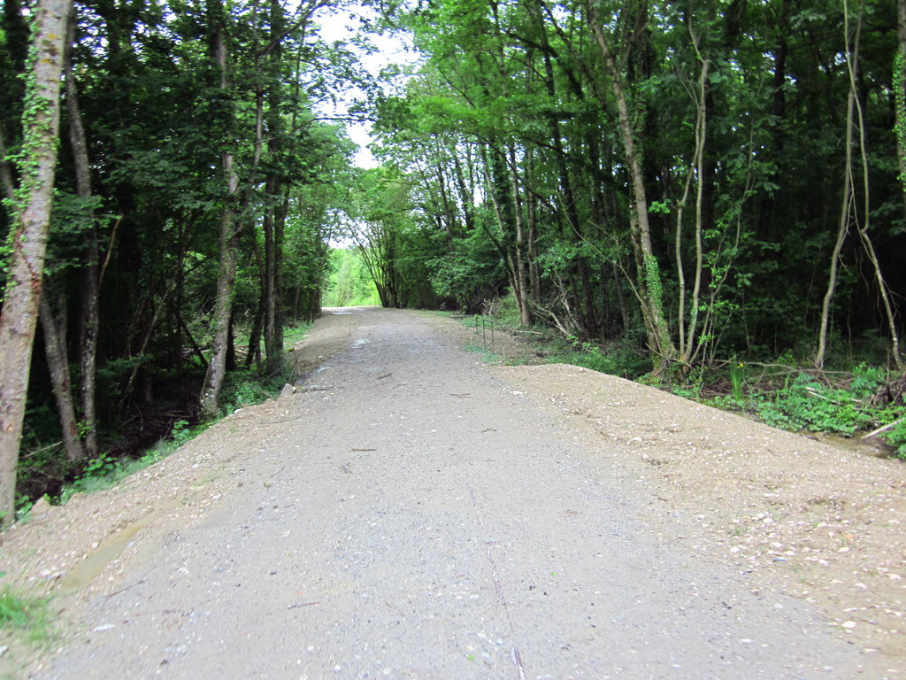 De beaux passages en forêt sur le talus de l'ancienne voie ferrée. Les ouvrages franchissant les ruisseaux sont conservés.